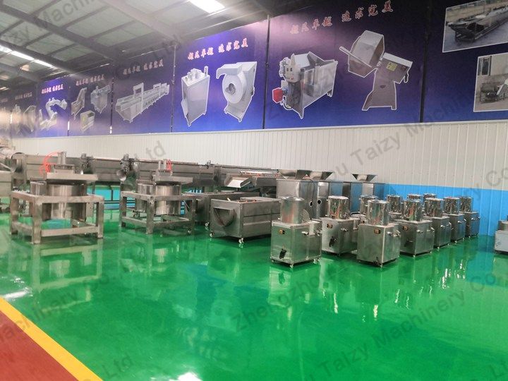 Taizy food processing machine factory