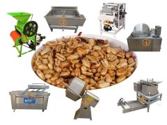 fried peanut processing line